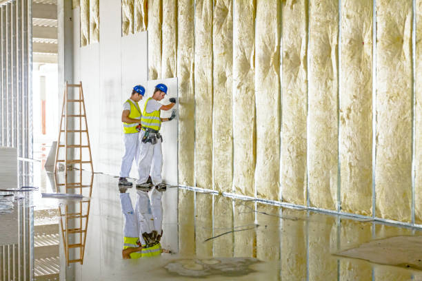 Best Fiberglass Insulation  in Sea Ranch, CA